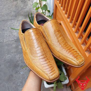 Giày Tây Da Đà Điểu Chân Gai Vàng Bò GB06D1